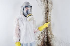 Best Black Mold Removal  in Inglis, FL